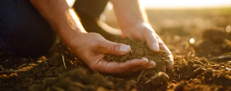 Investir dans l'agriculture durable