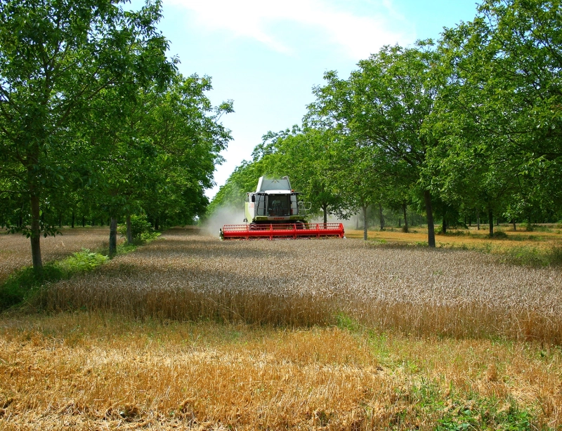 Vous êtes propriétaire de terres agricoles non exploitées ?